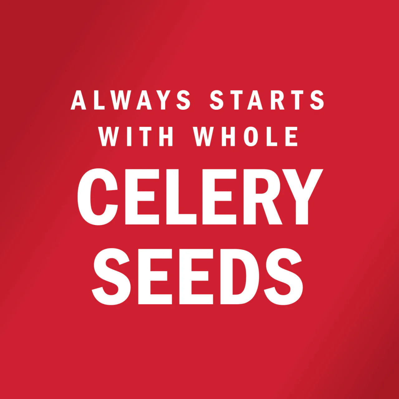 Viceroy® Celery Salt 66g