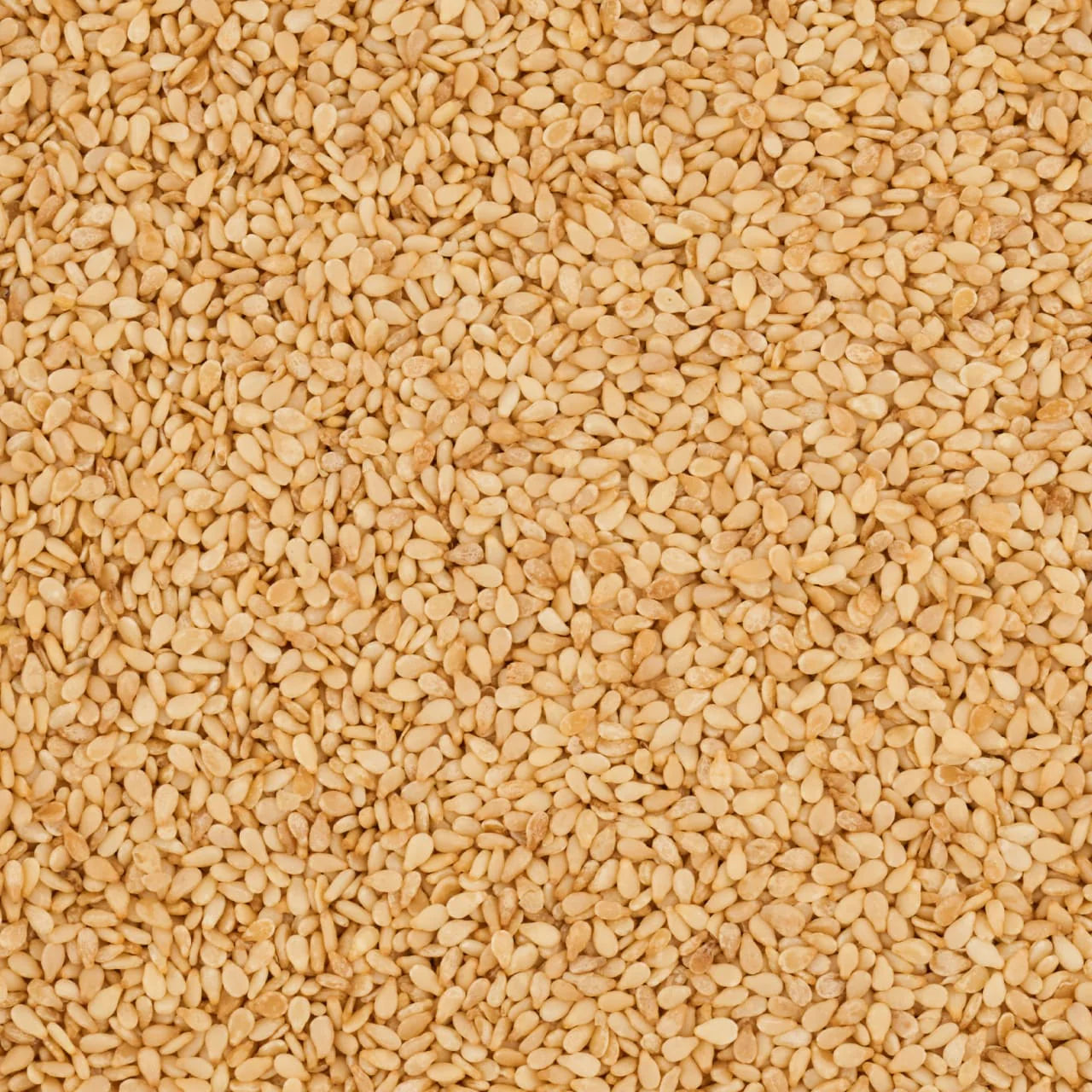 VICEROY® ForChefs® Sesame Seeds White 900g