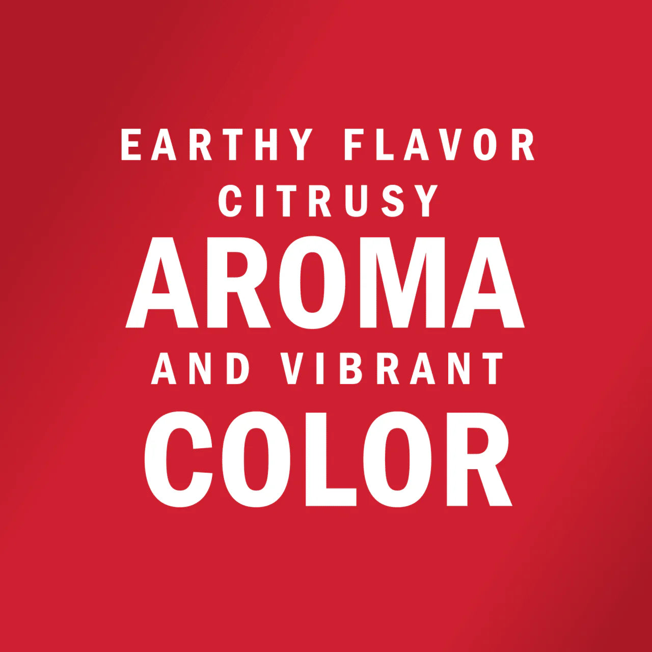 VICEROY® ForChefs® Turmeric Powder 900g