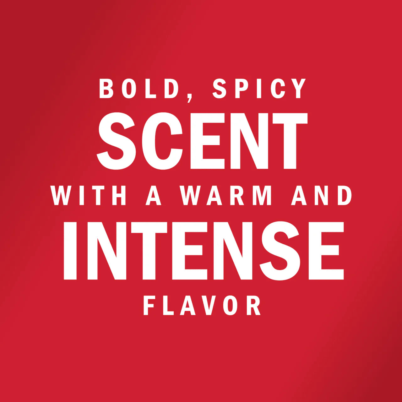 VICEROY® ForChefs® Cloves Whole 550g